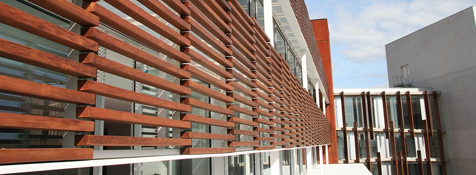 Brise soleil pare soleil de lames de bois